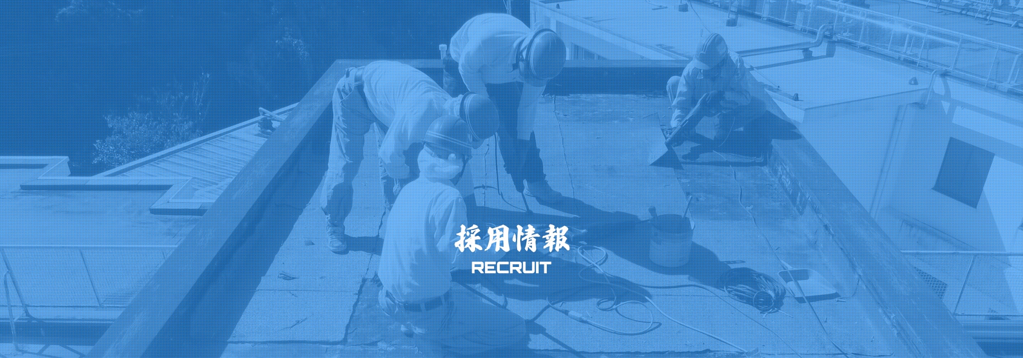 採用情報